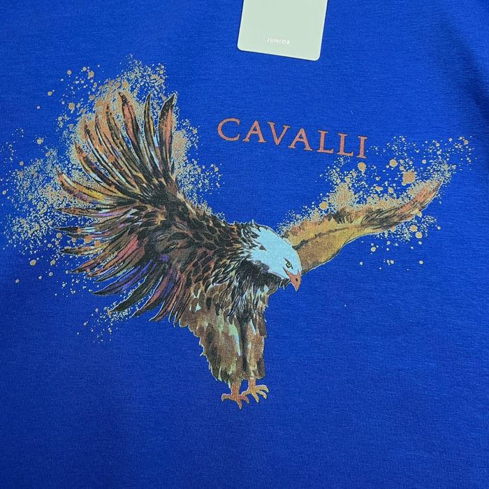 Bluza z kapturem Roberto Cavalli niebieska bawelniana xs (junior 16)