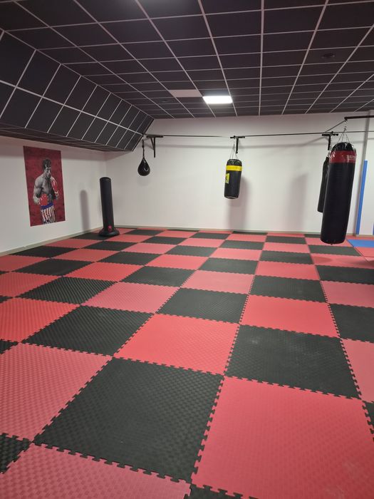 Wynajmę salę pod trening