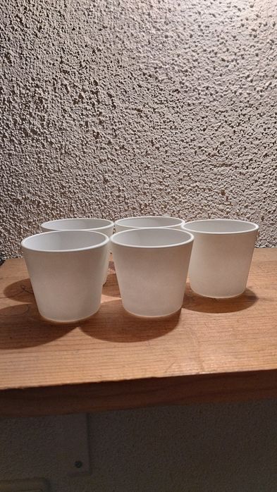Plantas e vasos vários