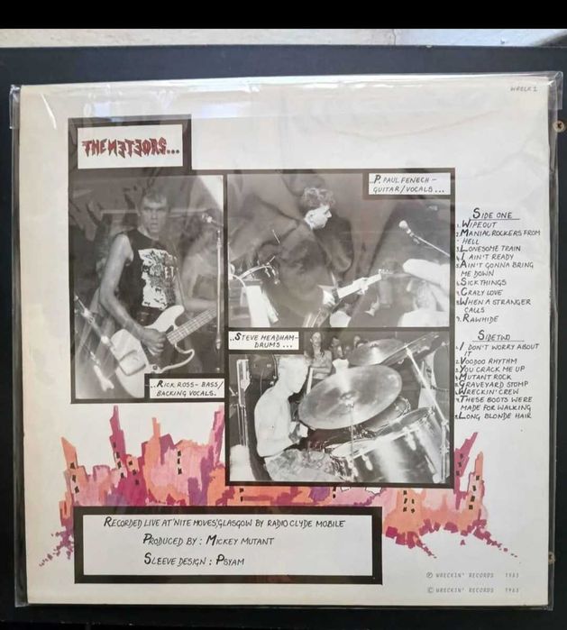The Meteors - Live (vinil)