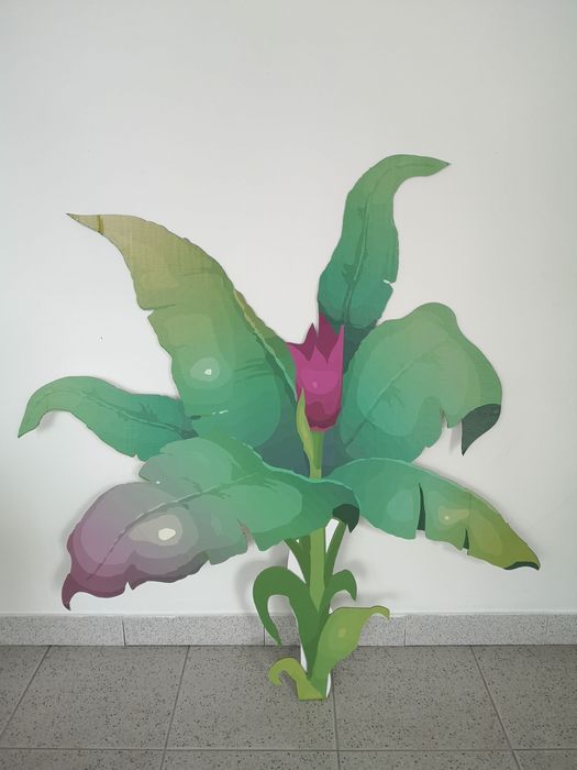 Decoração Selva - Festas