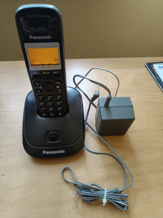Telefon Stacjonarny Panasonic KX-TG2511PD