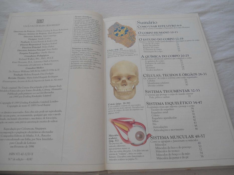 Dicionário Escolar do Corpo Humano por David Burnie