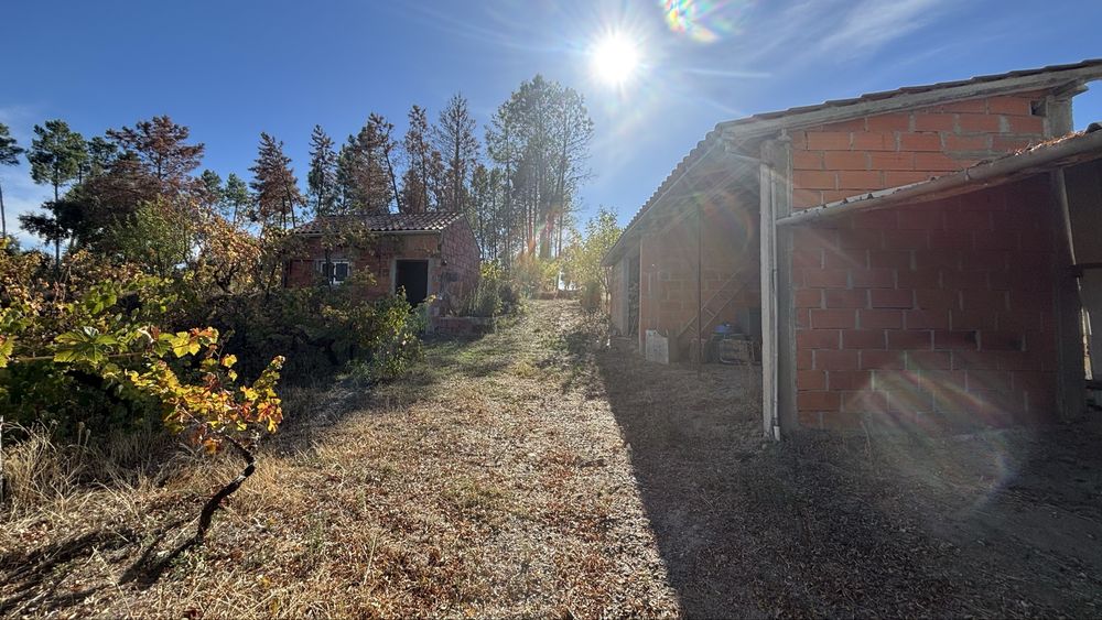 Terreno / Quinta no Freixial - Fundão