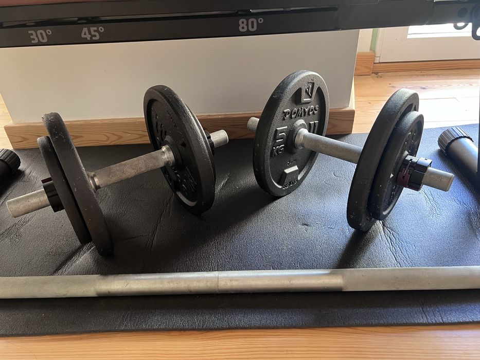 Bench, dumbbells and barbell