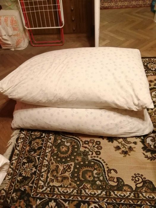 Pierzyna z piór gesich