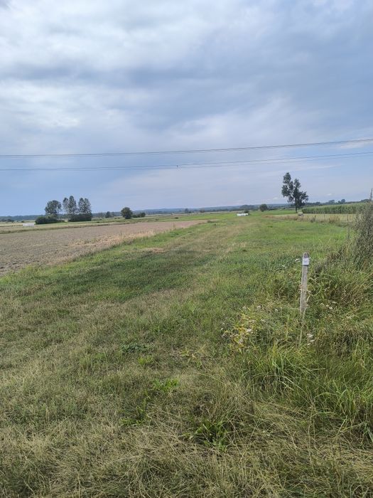 Działka pod Mławą  30arów pod budowę domu