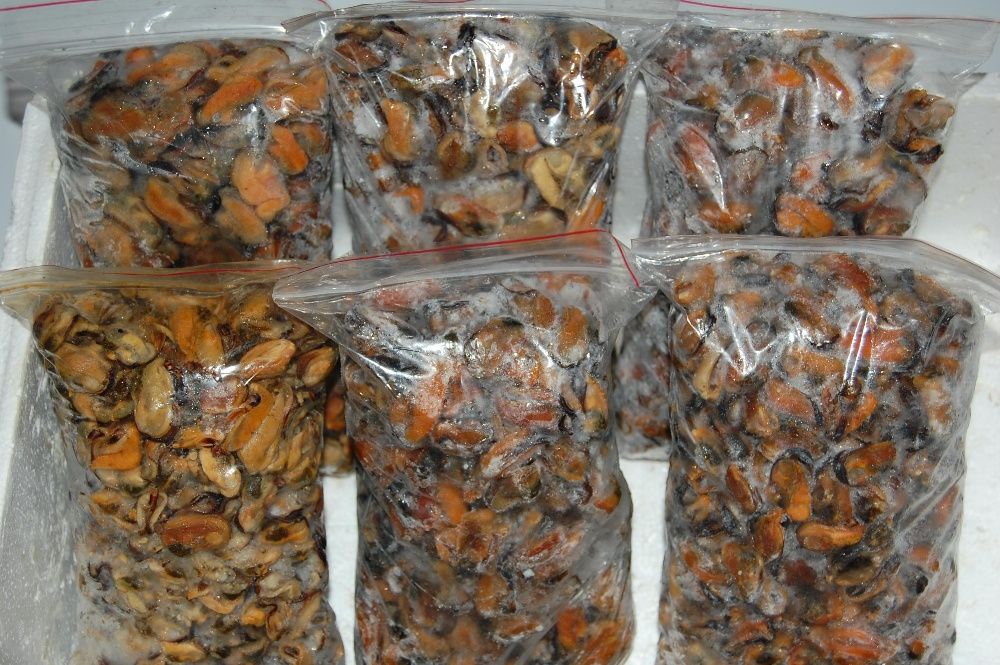 Мясо мидий варено-мороженое. Мидии черноморские.