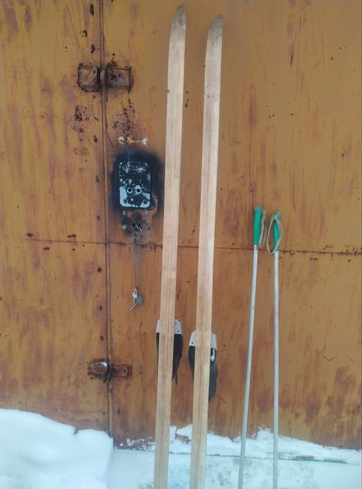 Лыжи дерев. покр. пластиком