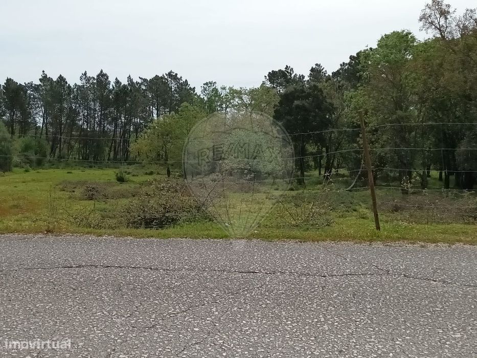 Terreno  para venda — Rio De Couros E Casal Dos Bernardos, Santarém