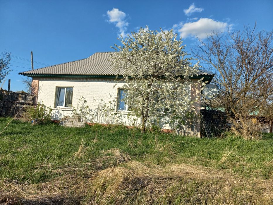 Продається будинок в с.Количівка 8км від Чернігова