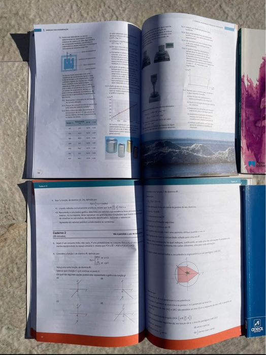 Cadernos de Fichas/ atividades e MAIS