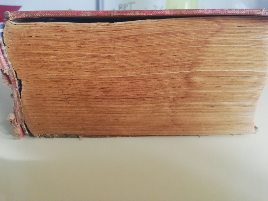 Dicionário de Português - 3 ª edição