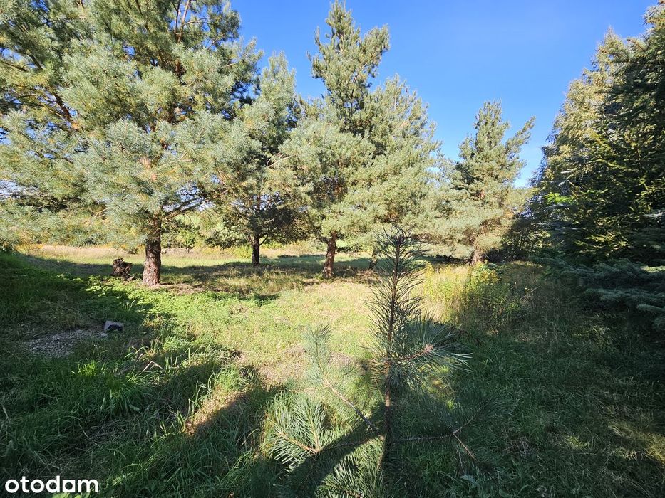 Sprzedam dom w Barlinku pow. 190m2