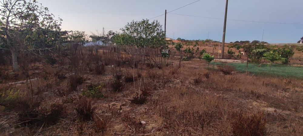 Terreno Ourique água e luz
