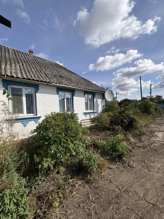 Будинок у Гребінках на 60 сотках — чудове місце для життя