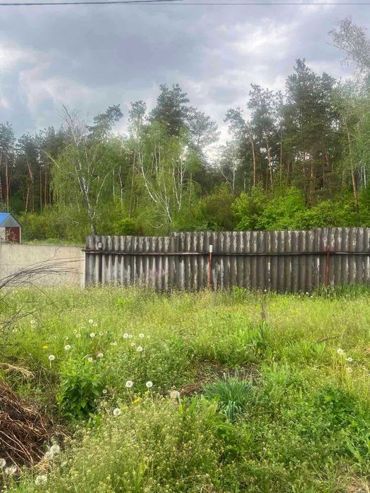 Продам дом в смт Буди 2 вида отопления участок 15 соток Тихий районTB
