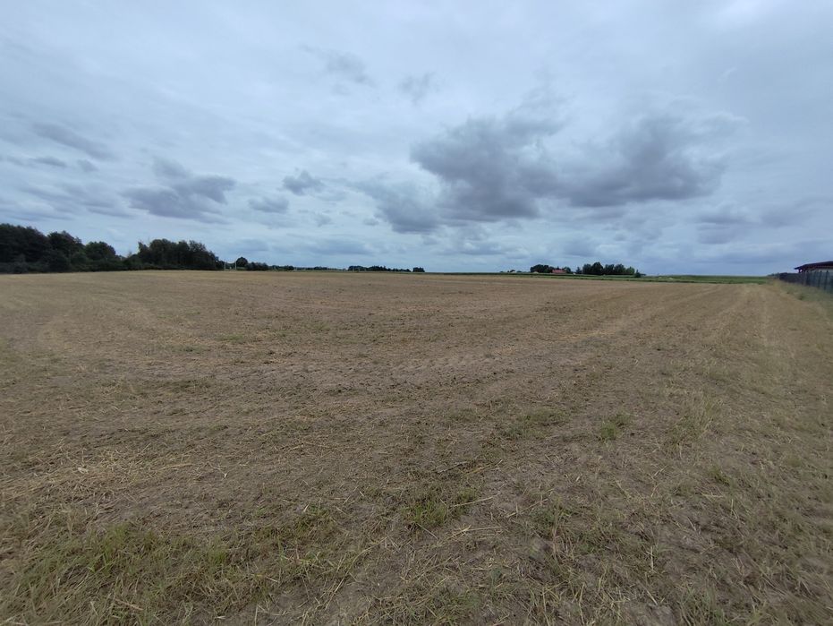 Sprzedam ziemię rolną 2.66ha - Widok 2