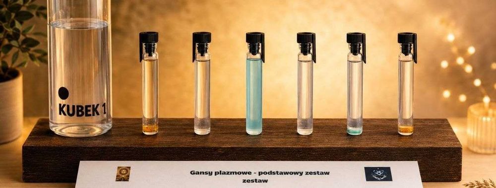 Zestaw gansów plazmowych podstawowy