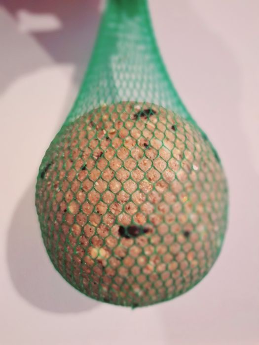 Kula tłuszczowa Danimo gigant 0,5kg. GRATIS kolba tłuszczowa