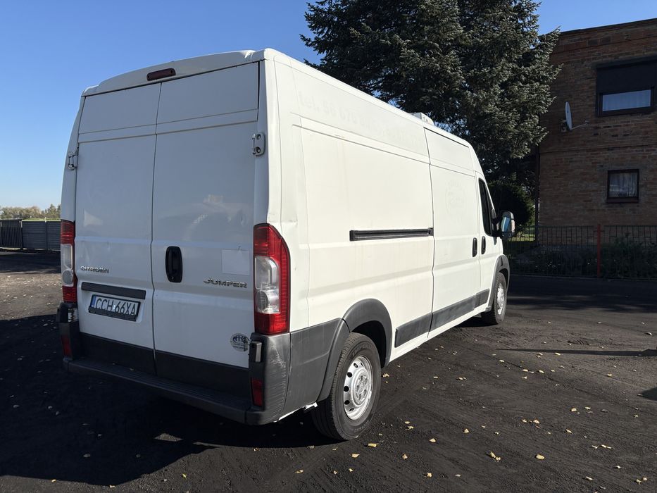 Wynajem Dostawcze Bus Do wynajecia CHŁODNIA IZOTERMA Wypozyczalnia