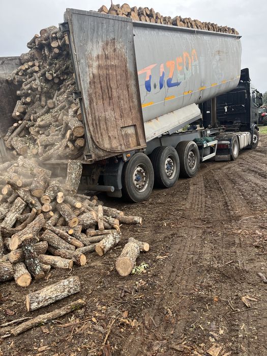 Lenha de carvalho cortada em rolo