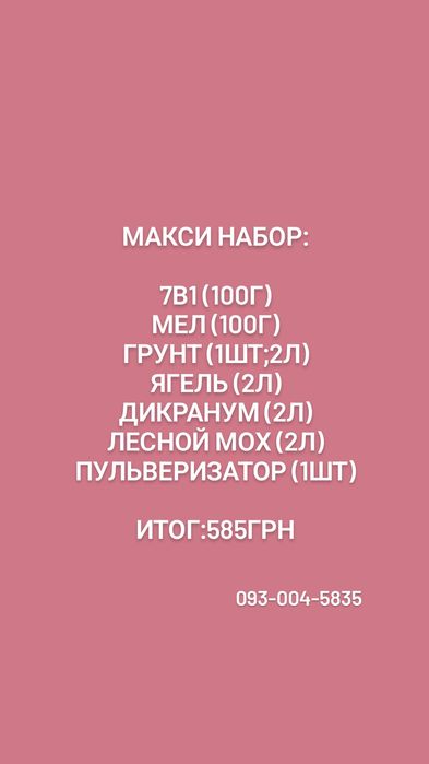 Улитки ахатины. Что может быть лучше? Моллюск и все для них. Сразу в одном месте