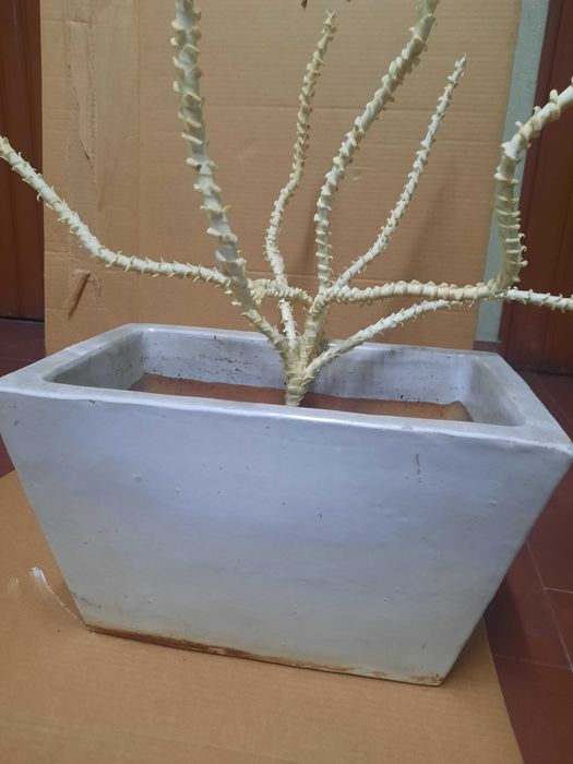 Vaso / floreira em grês