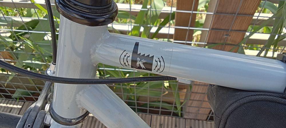 Bicicleta Kamikaze single speed/fixed gear