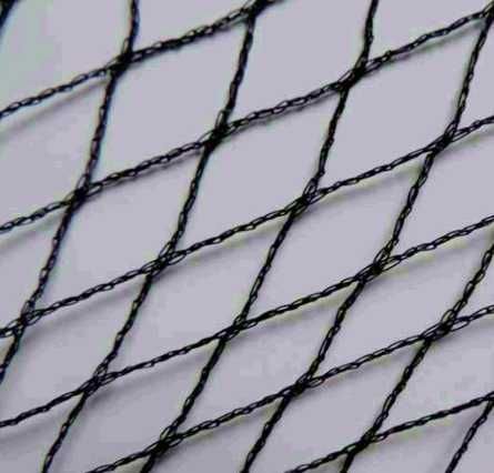 Malha agrícola anti-pássaros