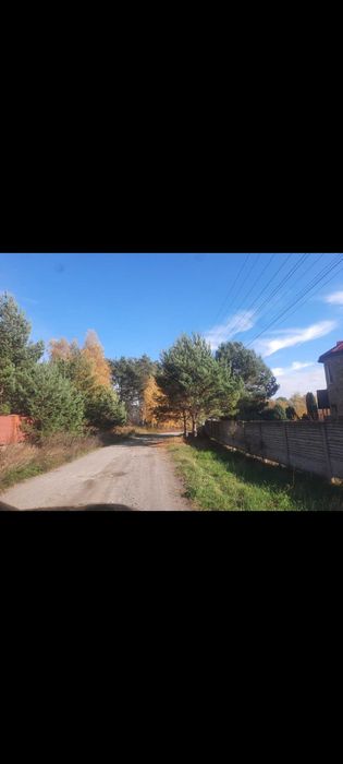 Генеральські озера, від 7 соток зі своїм лісом віком 80 років, ідеал для забудови, електрика, газ, котеджне містечко - Вид 3