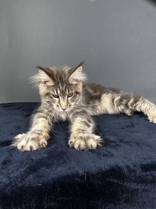 Дівчинка блакитний мармур