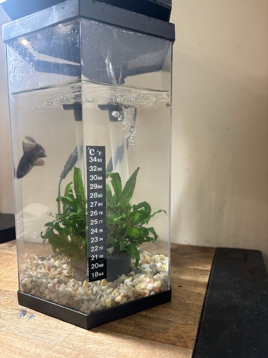 Aquario em perfeitos estados