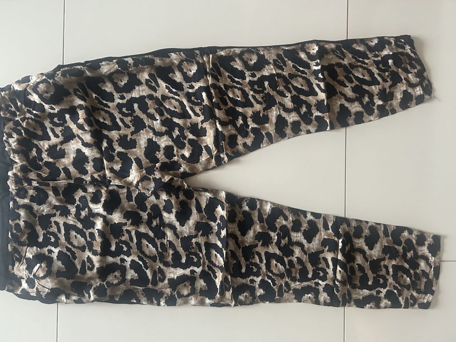 Spodnie Sinsay zwierzecy print L