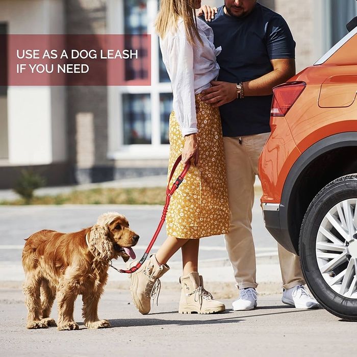 Повідок для собаки для перевезення у автомобілі та для прогулянки