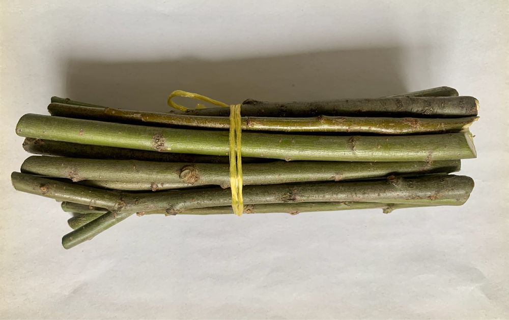 Гілочки гризунці, погризушки для домашніх улюбленців