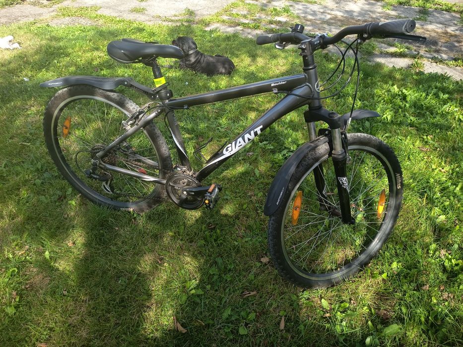 Rower męski Giant