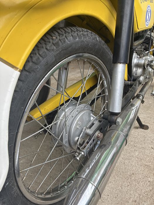 Sachs andorinha amarela