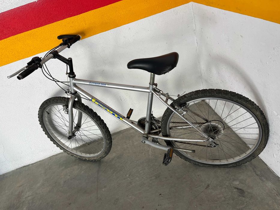 Bicicleta roda 24