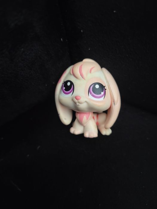 Króliczek lps petshop