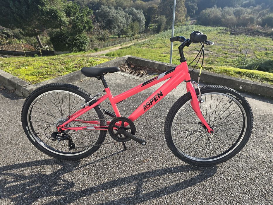 Bicicleta de crianca 24 nova varias cores