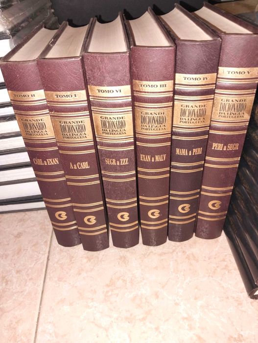 Dicionário coleção 6 volumes