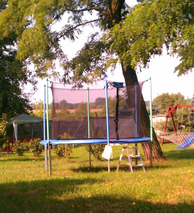 Oddam trampolinę 300cm