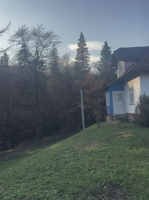 Продаж будинку та земельної ділянки 91 сот. біля лісу в с. Шешори