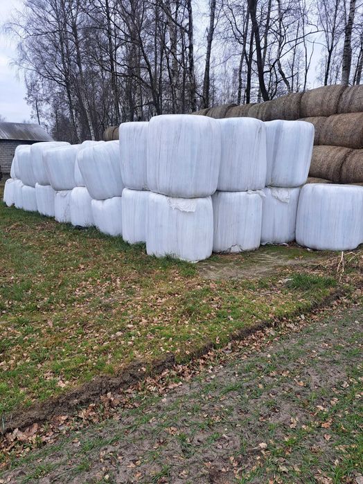 Sprzedam  sianokiszonke