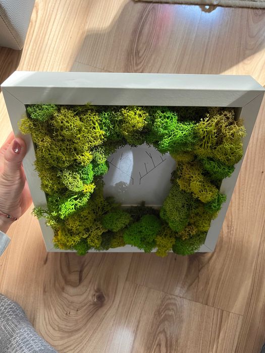 Diy ramka dekoracja 3D mech chrobotek ozdoba poroże na ścianę