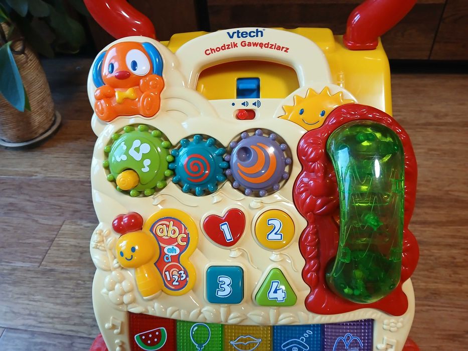 Chodzik Pchacz Gawedziarz