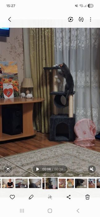 Кігтєточка для котів