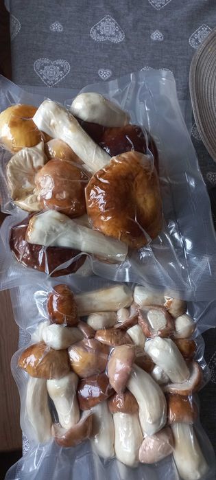 Grzyby suszone/ mrożone