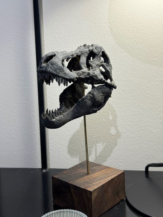 T-Rex- réplica em miniatura de crânio de dinossauro